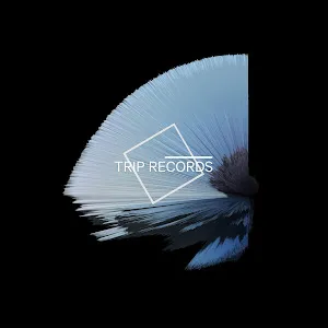 Rafa Moon — Back Room — обложка